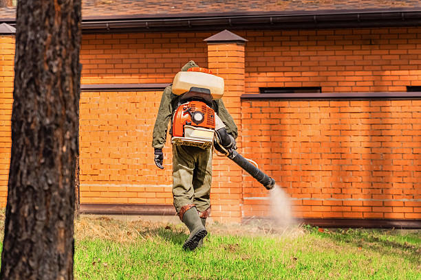 Trusted Ant Control service in Reiffton, PA - Nex Pest Control